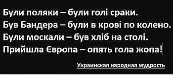     
: image.jpg
: 1053
:	25.3 
ID:	11301