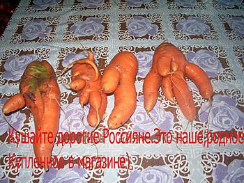     
: IMGP1992.jpg
: 539
:	213.2 
ID:	11336