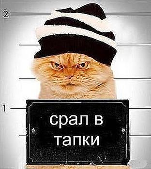     
:   .jpg
: 1058
:	26.2 
ID:	11363