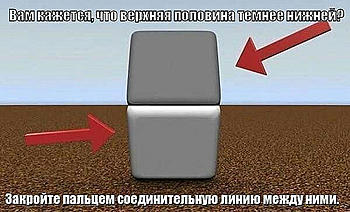     
: .jpg
: 562
:	40.4 
ID:	11693