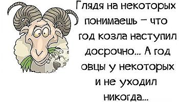     
: .jpg
: 421
:	43.4 
ID:	11784