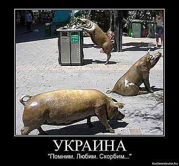     
: original.jpg
: 839
:	107.6 
ID:	11848