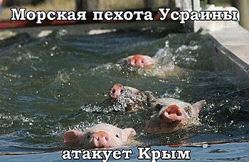     
: .jpg
: 614
:	57.2 
ID:	11905