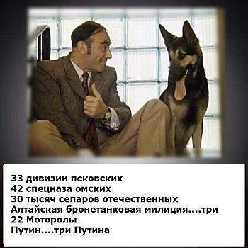     
: tYUErdItgsE.jpg
: 1041
:	51.5 
ID:	12392