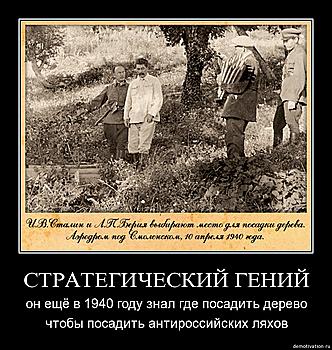     
: .jpg
: 865
:	159.1 
ID:	3226