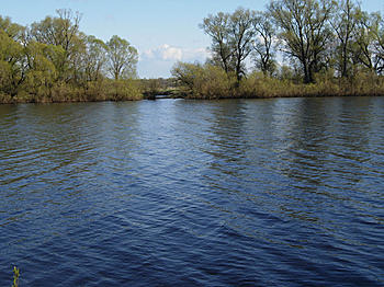    
: DSCN0268.jpg
: 1420
:	884.2 
ID:	3322