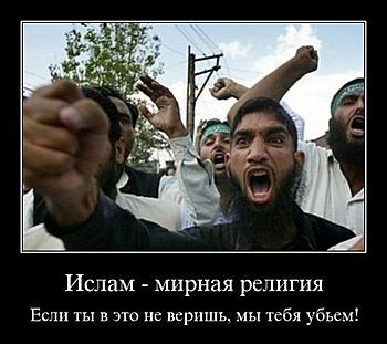     
: x_f6ce3122.jpg
: 1054
:	43.8 
ID:	3549