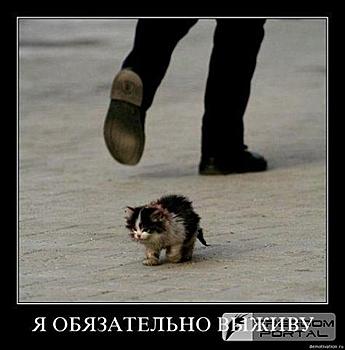     
: 1266416817_6631986b79852c9ed7fa26bbcee30eb6.jpg
: 466
:	29.0 
ID:	3869