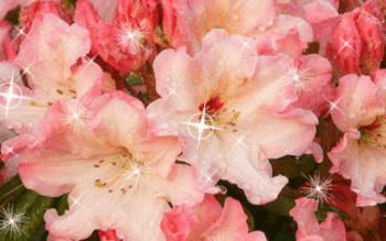     
: 36634463910013.gif
: 425
:	100.5 
ID:	4106
