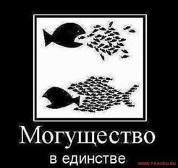     
: __%20(1).jpg
: 463
:	42.0 
ID:	5162