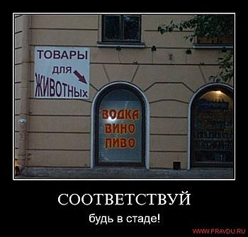     
:   11.jpg
: 508
:	38.5 
ID:	5241