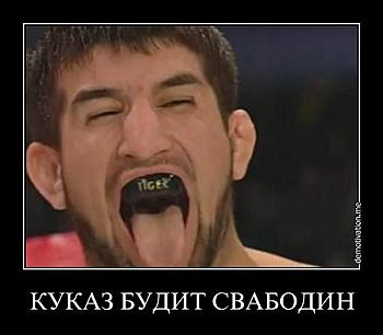     
: i2k5jazmcgns.jpg
: 1085
:	26.4 
ID:	6148