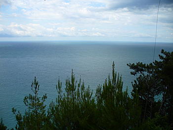     
: 08.07.2007_10.20.jpg
: 1313
:	189.1 
ID:	6987