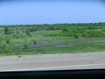     
: CIMG0541-2.jpg
: 1522
:	184.0 
ID:	7170