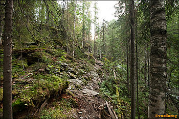     
: pic_006.jpg
: 274
:	94.6 
ID:	7225