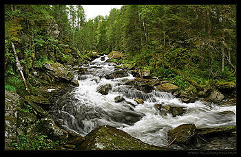     
: Zhigalan_130808.jpg
: 271
:	196.9 
ID:	7231