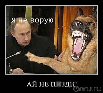     
: dwdwpd.jpg
: 842
:	44.3 
ID:	7463