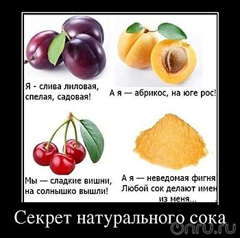     
: 2r9qok.jpg
: 872
:	42.3 
ID:	7473