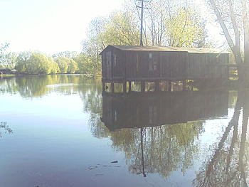     
: IMAGE_172.jpg
: 374
:	200.1 
ID:	8544