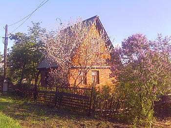     
: IMAGE_654.jpg
: 370
:	211.9 
ID:	8552