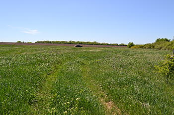     
: DSC_0498.jpg
: 92
:	200.5 
ID:	8591