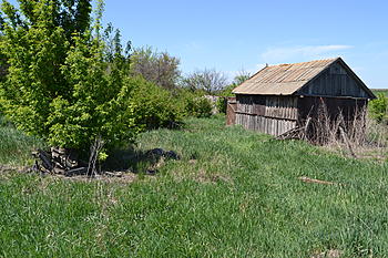     
: DSC_0500.jpg
: 93
:	205.1 
ID:	8592