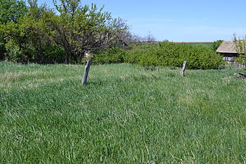     
: DSC_0499.jpg
: 91
:	203.7 
ID:	8593