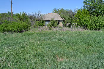     
: DSC_0494.jpg
: 95
:	206.3 
ID:	8594