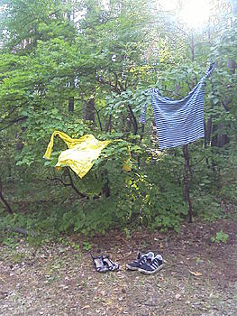     
: IMAGE_147.jpg
: 333
:	219.0 
ID:	9078