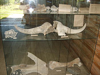     
:  052.jpg
: 1302
:	196.8 
ID:	7057