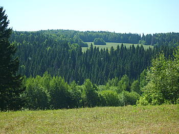     
:  079.jpg
: 1287
:	203.8 
ID:	7062