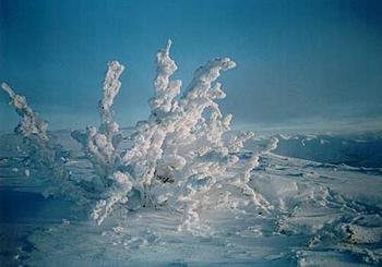     
: 41[1].jpg
: 835
:	17.5 
ID:	9935