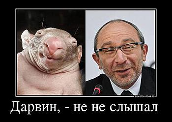     
: .jpeg
: 1206
:	38.0 
ID:	10492