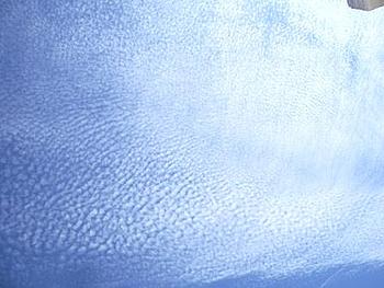 ������� �� ����������� ��� ����������
��������: IMGP1470.JPG
����������: 6790
������:	59.4 ��
ID:	8893