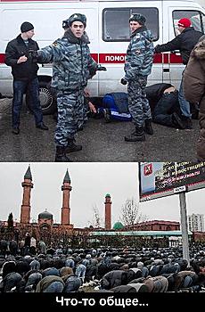     
: 45102.jpg
: 1792
:	60.9 
ID:	3807