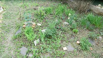 ������� �� ����������� ��� ����������
��������: CIMG0329-1.jpg
����������: 2023
������:	145.2 ��
ID:	6787