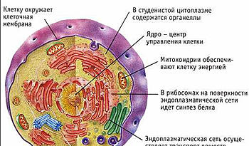 ������� �� ����������� ��� ����������
��������: 2014-01-05_012556.jpg
����������: 582
������:	65.5 ��
ID:	10694