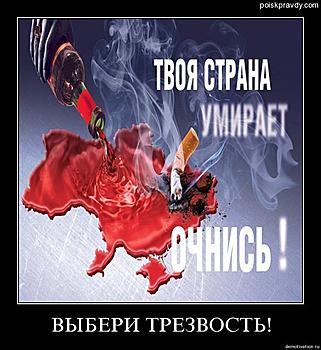 ������� �� ����������� ��� ����������
��������: 04y288k3a3ie.jpg
����������: 1709
������:	64.8 ��
ID:	5017