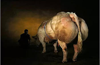     
: APC - 2013.08.08 15.15 - 001.3d.jpg
: 1673
:	28.1 
ID:	9088